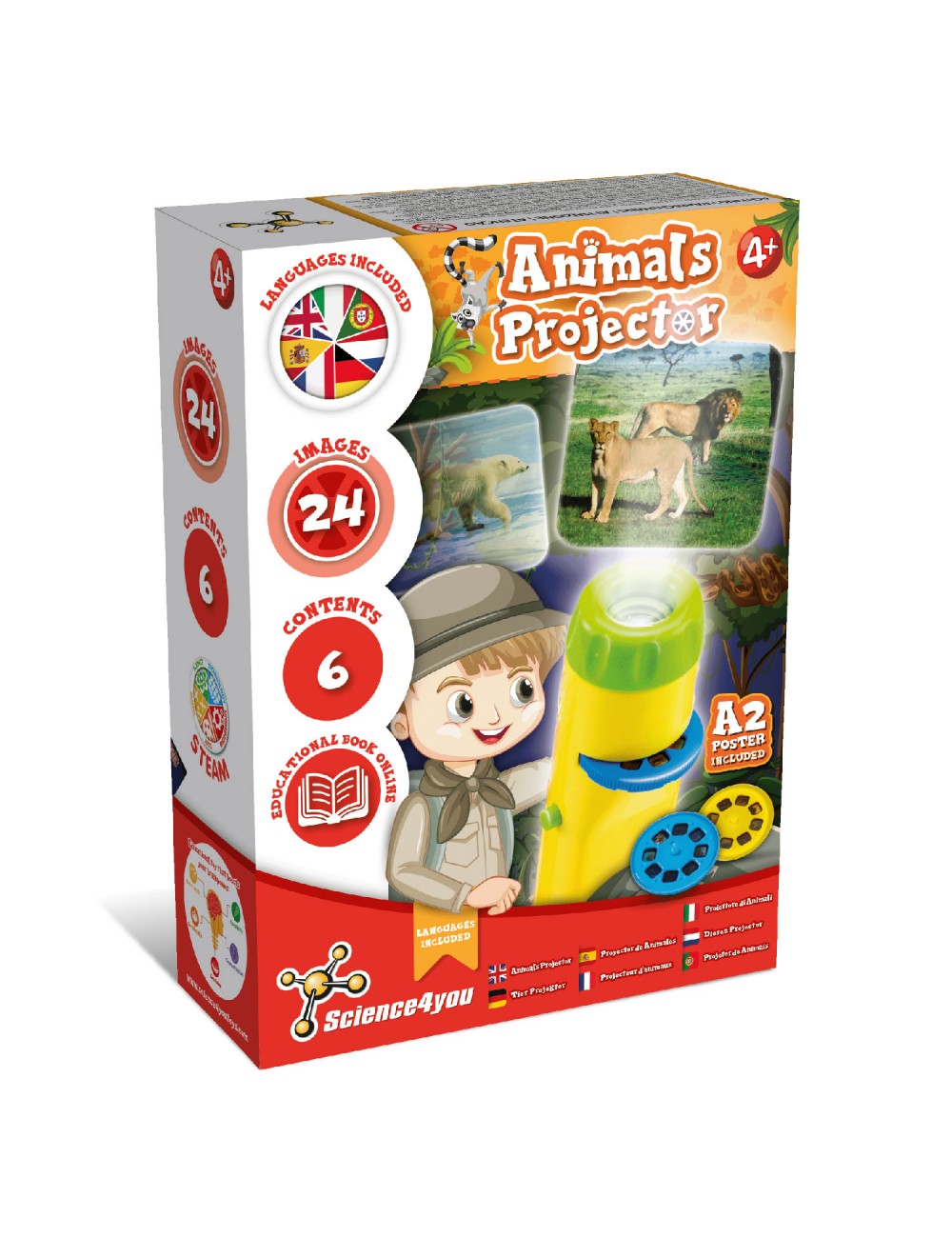 Jogo Tabuleiro Infantil Achei! Brinquedo para 3 Anos 4 Anos 5 Anos