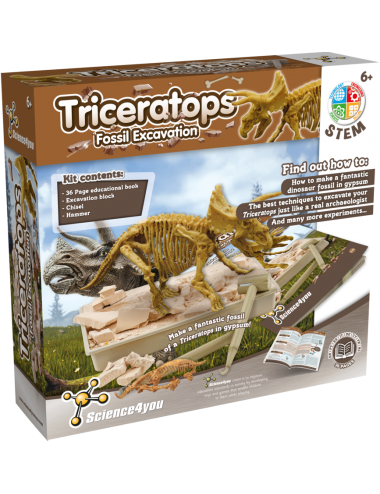 Kit de Escavação de Dinossauro Velociraptor - Educativos Brinquedos