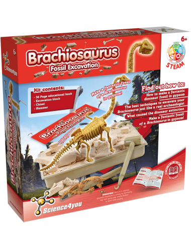 Jogo Educativo SCIENCE4YOU Projetor Dinossauros (Idade Minima: 4 anos)