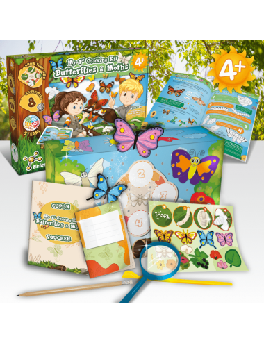 O Meu 1º Kit de Criação de...