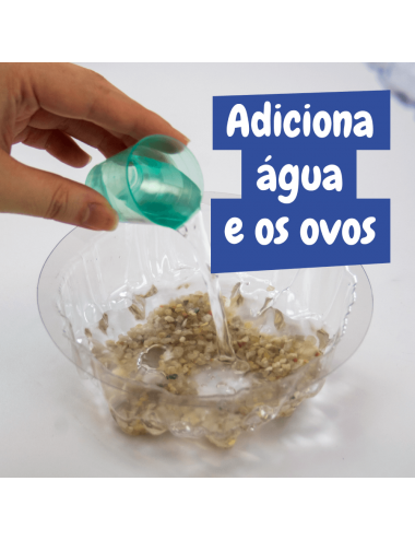  Science4you Artemias Aquatic Sea Creatures (Triops