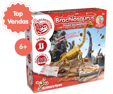 Escavações Fóssies Brachiossauros